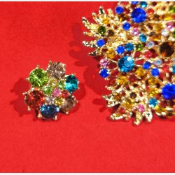 Broche med �reringe